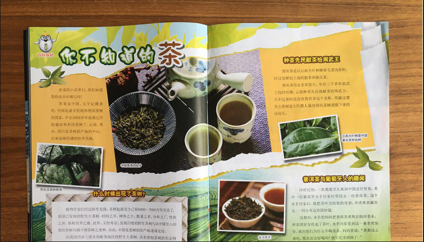 军事文摘科学少年